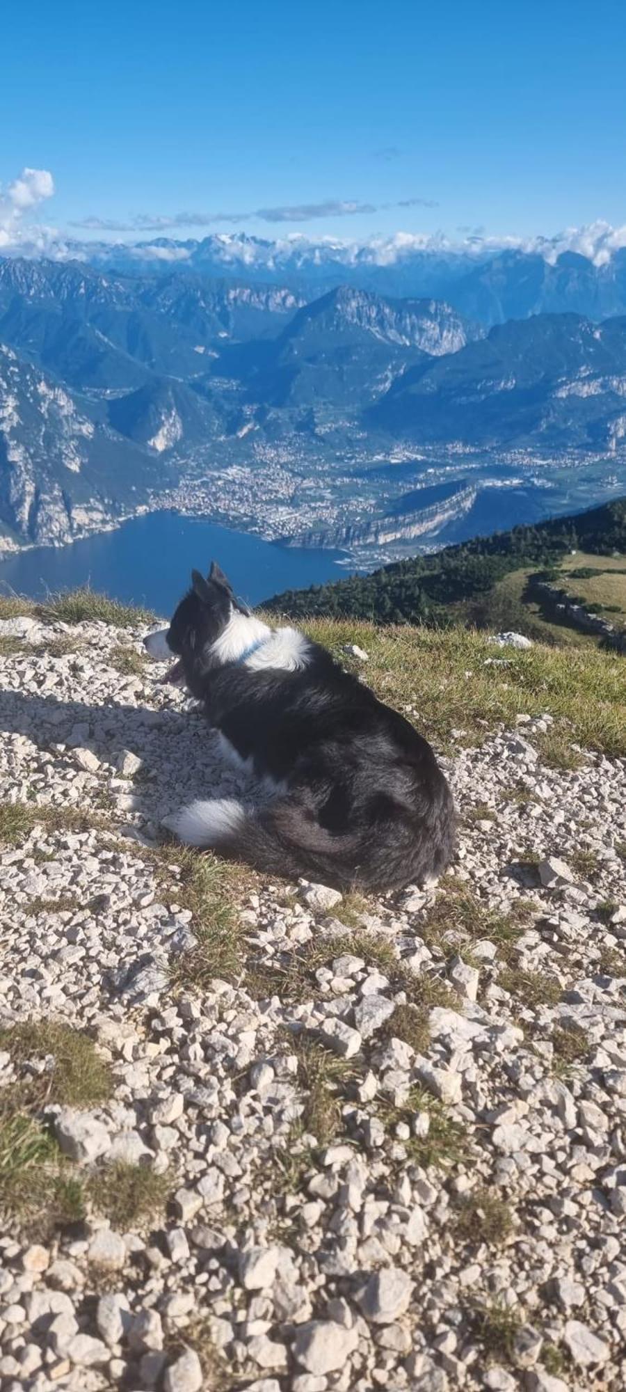 Garden & Pool Perugini Apartman Torbole Sul Garda Kültér fotó