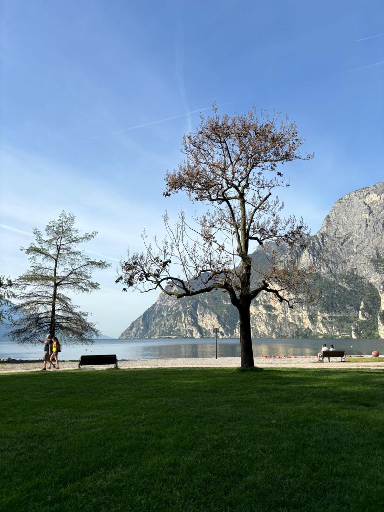 Garden & Pool Perugini Apartman Torbole Sul Garda Kültér fotó